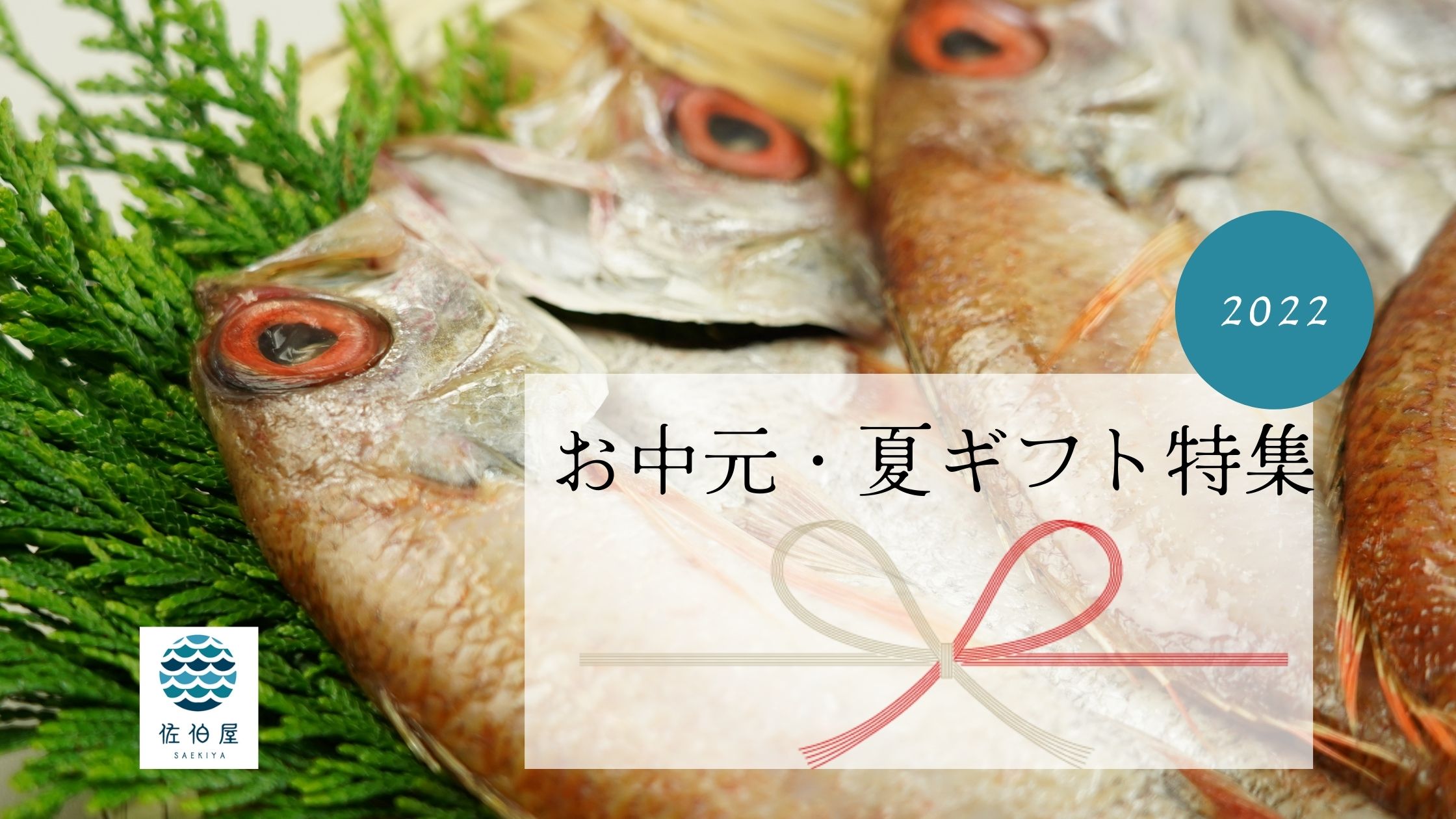 にぎす 一覧 至高の一夜干し 干物の通販 お取り寄せの佐伯屋 日本海の浜田港と下関漁港の鮮魚でつくる絶品干物