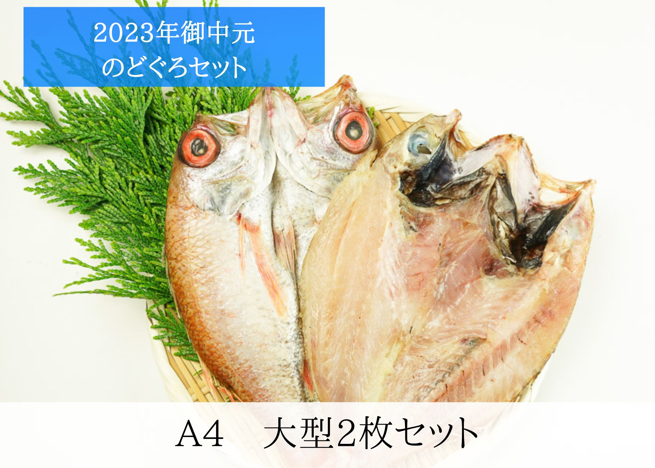 送料無料2023年御中元　A4のどぐろ干物大型2枚セット