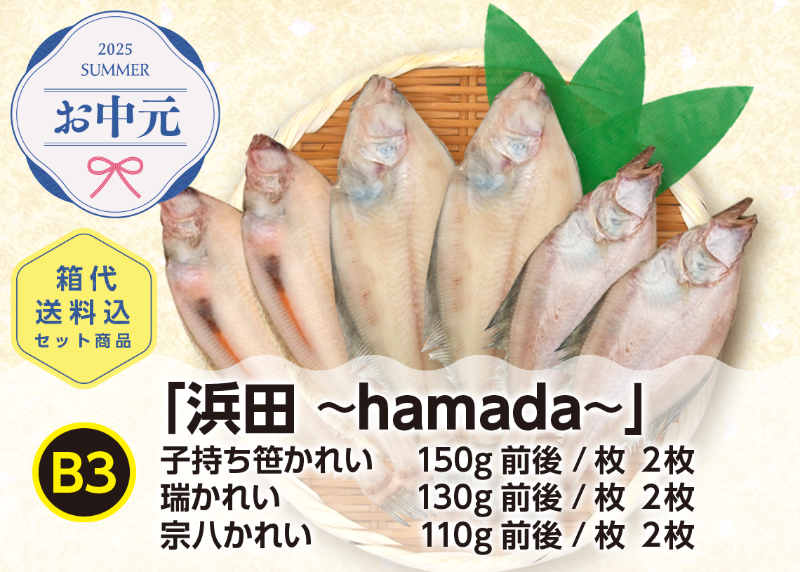 送料無料 2025年御中元 B3「浜田〜hamada〜」